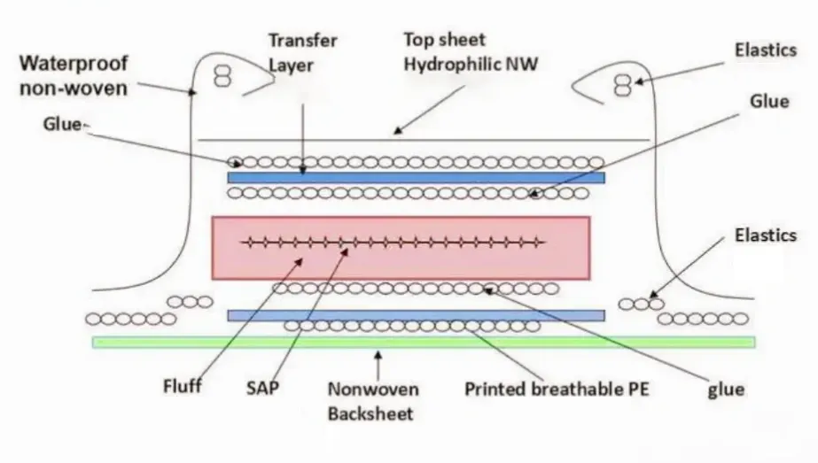 Diagram of baby diaper layers: top sheet, transfer layer, absorbent core (fluff + SAP), nonwoven backsheet/breathable PE, side elastics and glue lines.