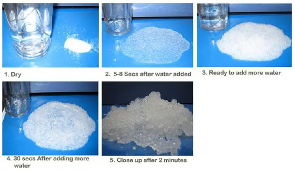 Superabsorbent polymer demo showing stages from dry to hydrated.